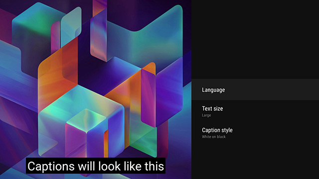 Image showing the Closed Caption customization options screen