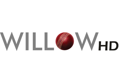Willow HD logo